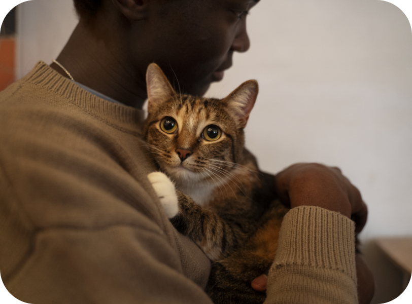 un homme tiens un chat dans ses bras